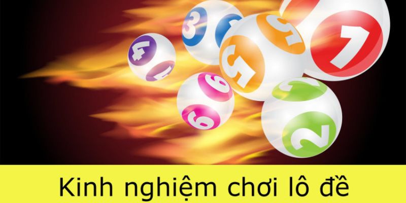 Chính sách ưu đãi 6Ff cực kỳ hấp dẫn - 6Ff