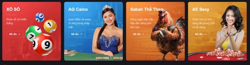 Giải thích chi tiết về việc tham gia 9Dbet - 9Dbet