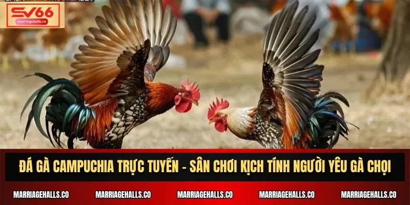 Tại sao bạn lại chọn chơi một tựa game được xếp hạng Pg88? - Pg88