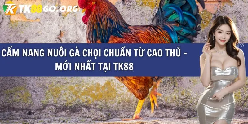 Giới thiệu chi tiết về trang web Ko66 Games - Ko66