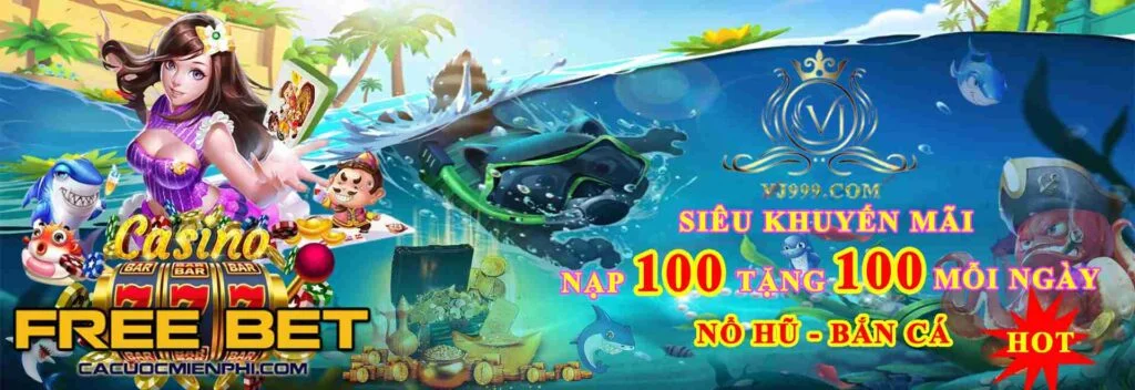 Câu hỏi thường gặp về nền tảng Sv88 - Sv88