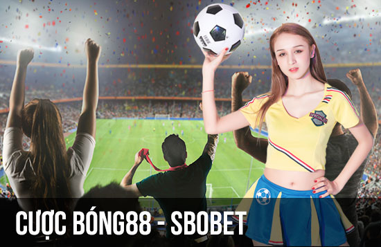Viu88 cung cấp nhiều lựa chọn cá cược bóng chuyền khác nhau - Viu88