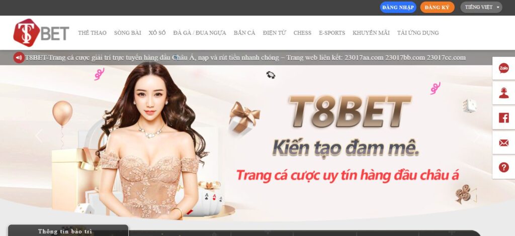 Nạp tiền vào tài khoản Vz99 19 của bạn bằng ví điện tử Momo hoặc Viettel Money - Vz99