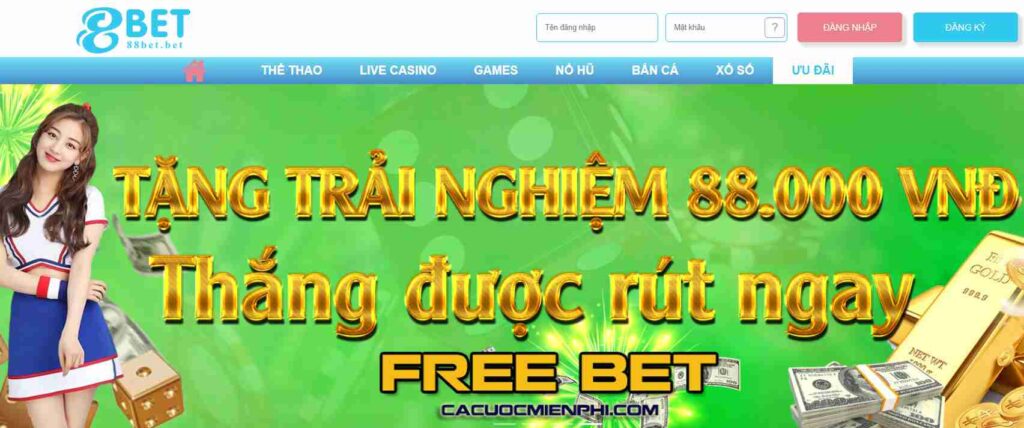 Trang web của Mig88 có thông tin về tất cả các khu cắm trại - Mig88