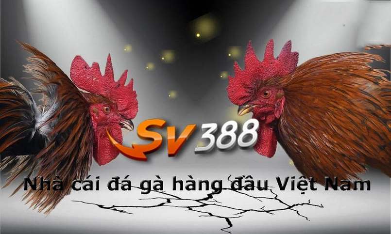 Giải thưởng Lối vào Chính Va88 - Va88
