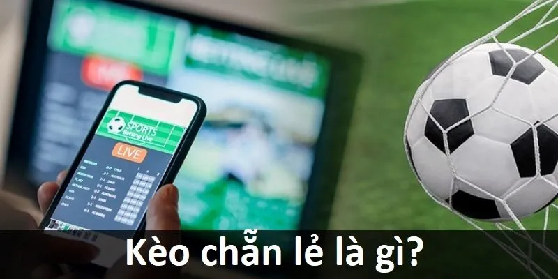 Hướng dẫn cách tải ứng dụng Kv999 cho Android - Kv999