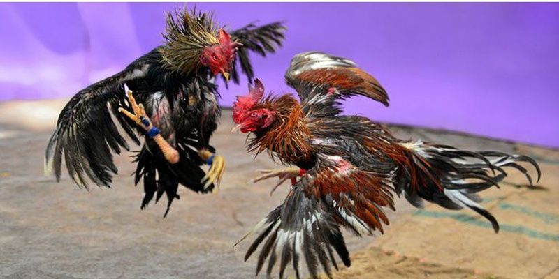 Tôi có thể nạp tiền vào thẻ Laucuagame một cách nhanh chóng và dễ dàng bằng cách nào? - Laucuagame