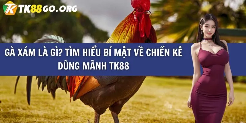 Các game cấp độ 789Club cung cấp nhiều lựa chọn lối chơi đa dạng và có tính hấp dẫn cao - 789Club