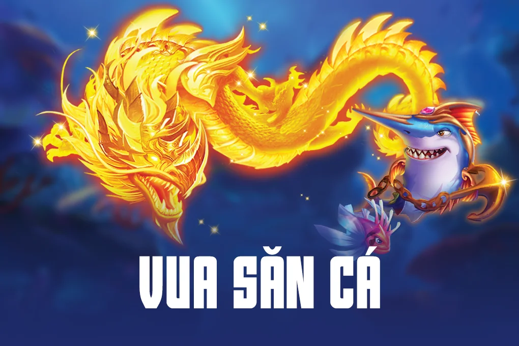 Những loại tiền tệ nào có thể được sử dụng trong Kimsa? - Kimsa
